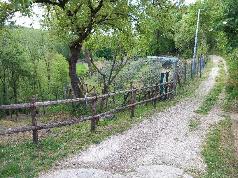 La Chimera Arezzo Eksteriør bilde